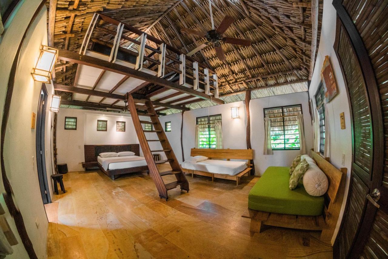 Viajero Tayrona Hostel & Ecohabs 伯里塔卡 外观 照片