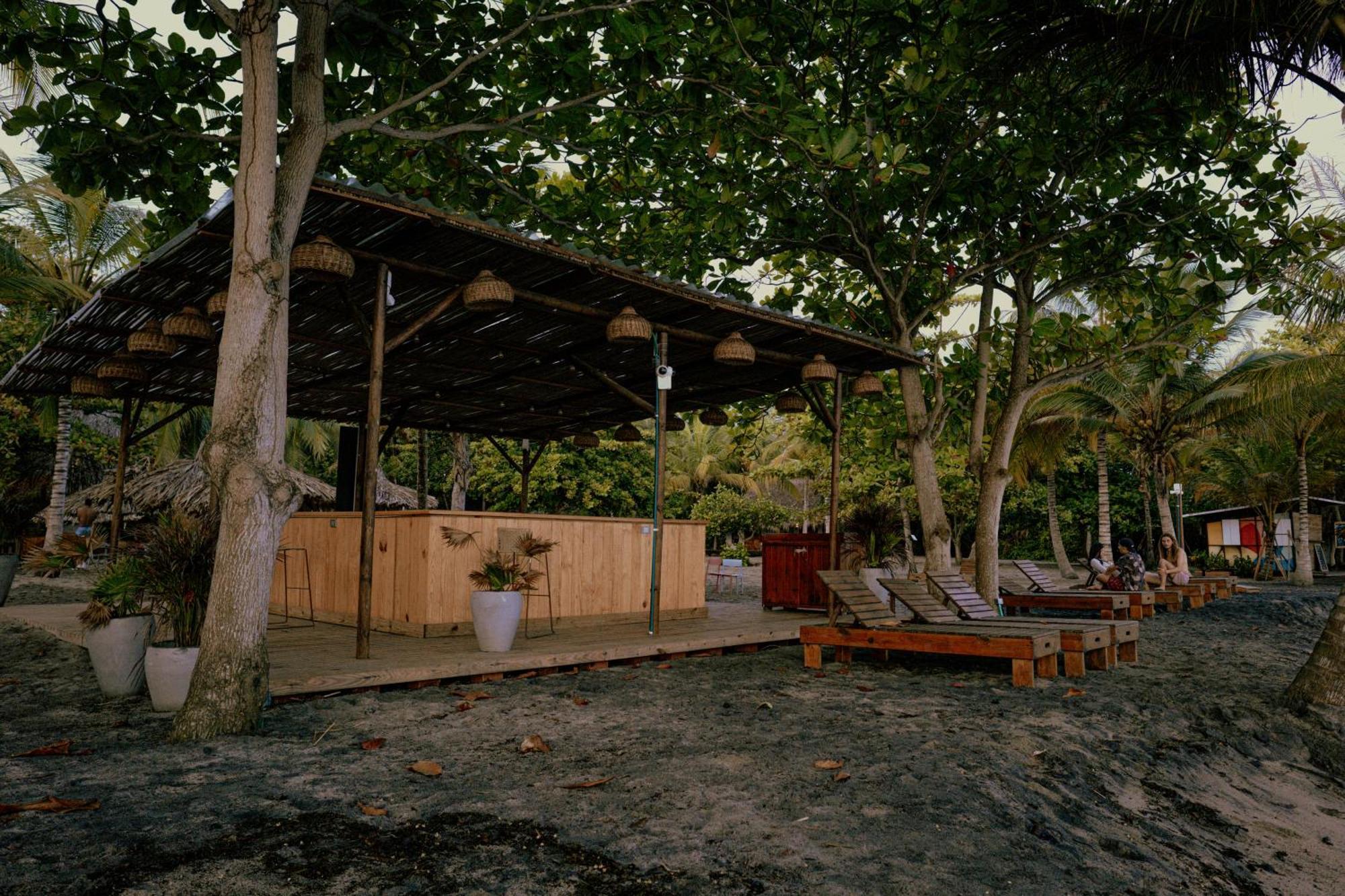 Viajero Tayrona Hostel & Ecohabs 伯里塔卡 外观 照片