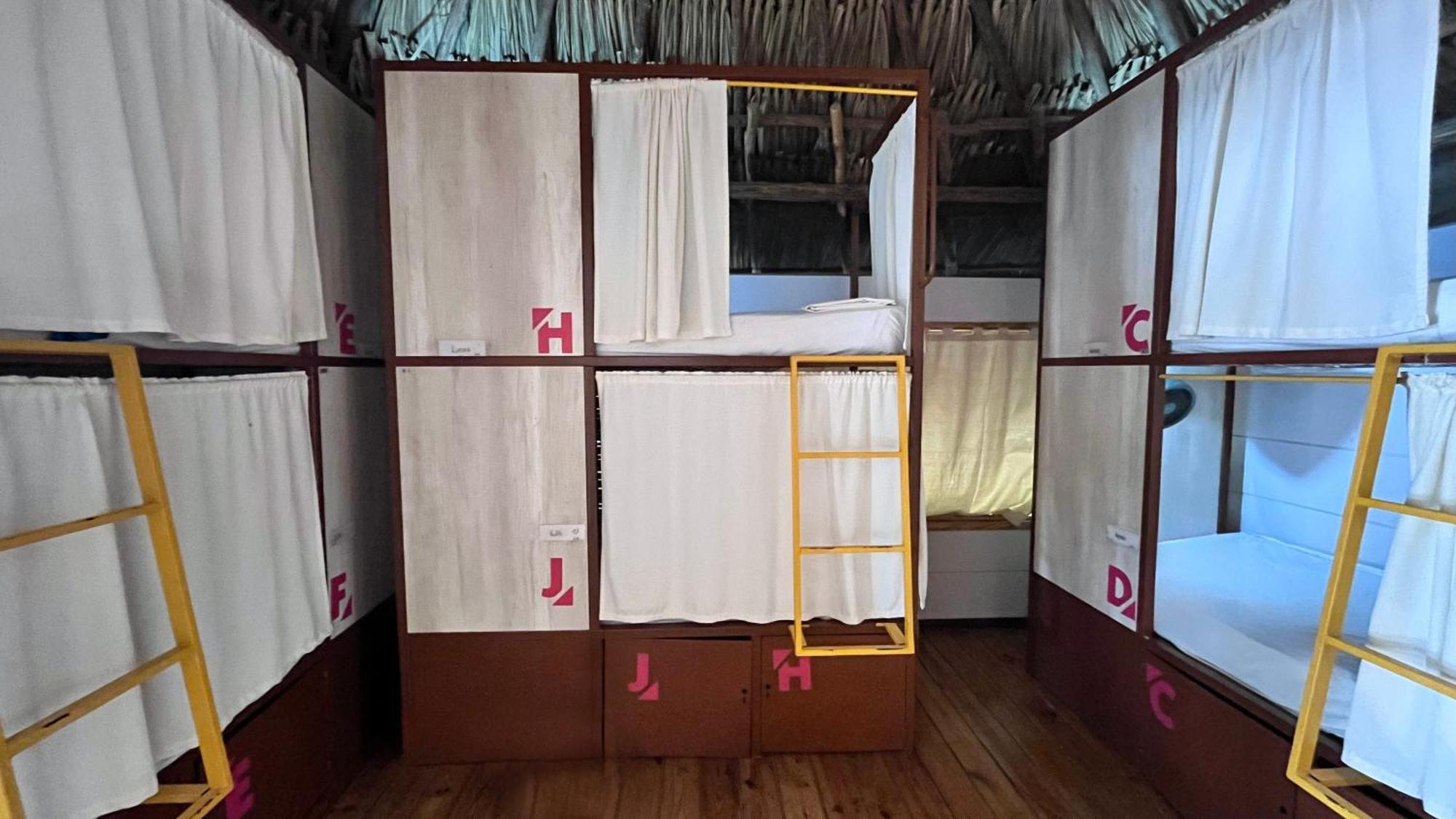 Viajero Tayrona Hostel & Ecohabs 伯里塔卡 客房 照片